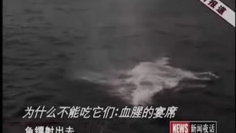 巢湖學(xué)院 學(xué)貫江淮，筑夢(mèng)前行